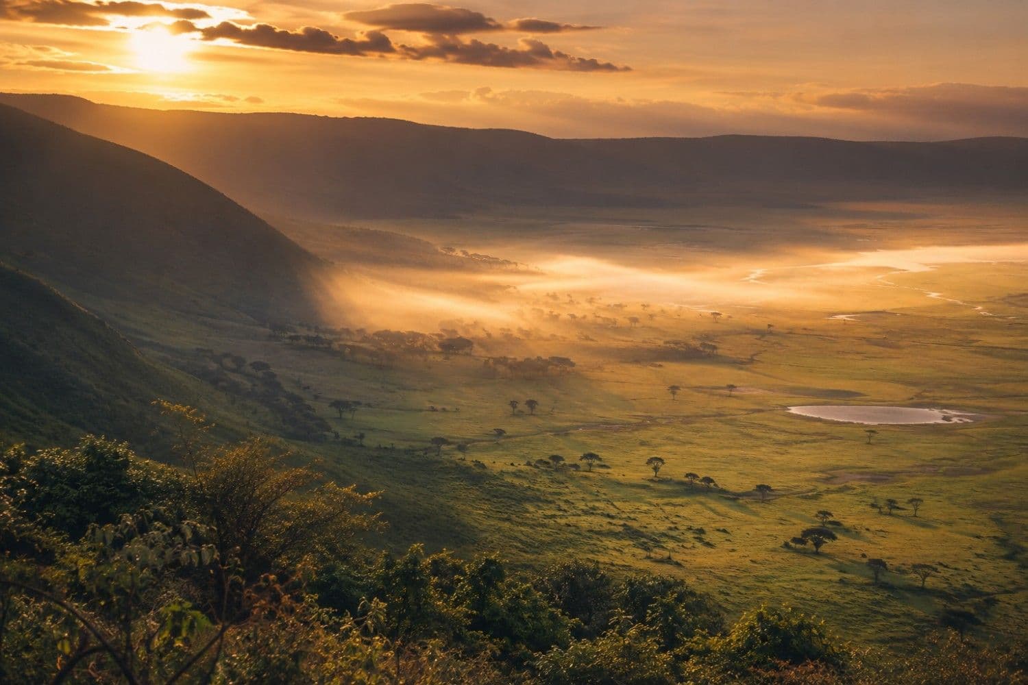 Misty Ngorongoro Crater valley at sunrise with acacia trees