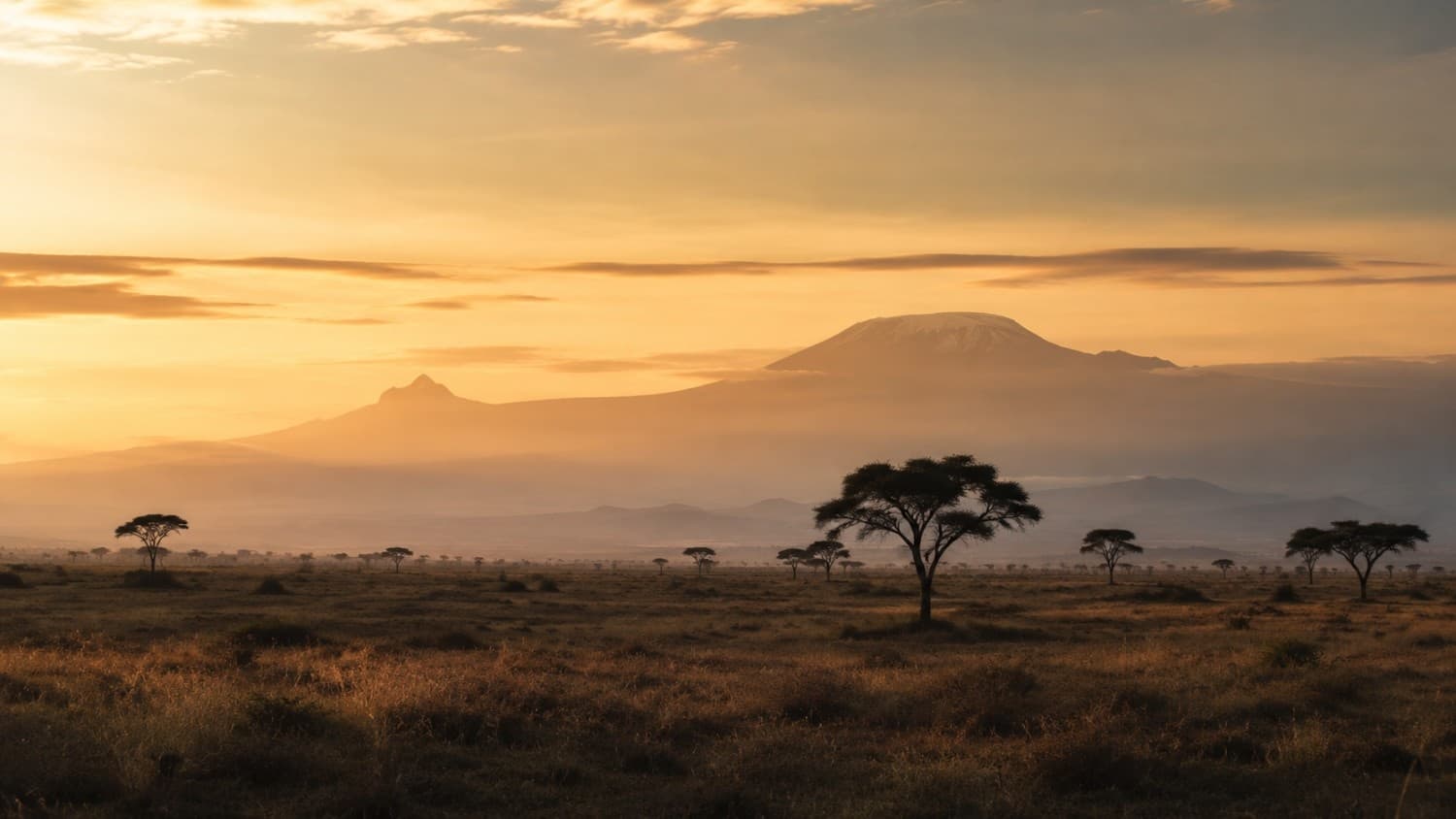Mount Kilimanjaro rising above an African savanna at golden hour
